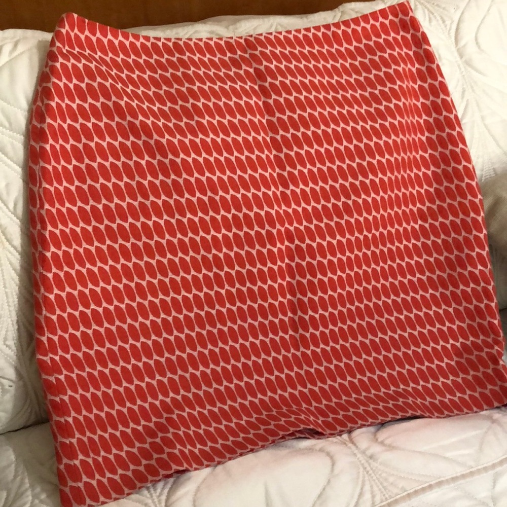 Ann Taylor skirt